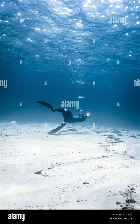 Photo Of An Underwater Scene Of A Man Wearing A Snorkel Mask Swimming