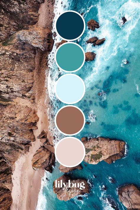 Coastal Colour Palette By Lilybug Design Artofit