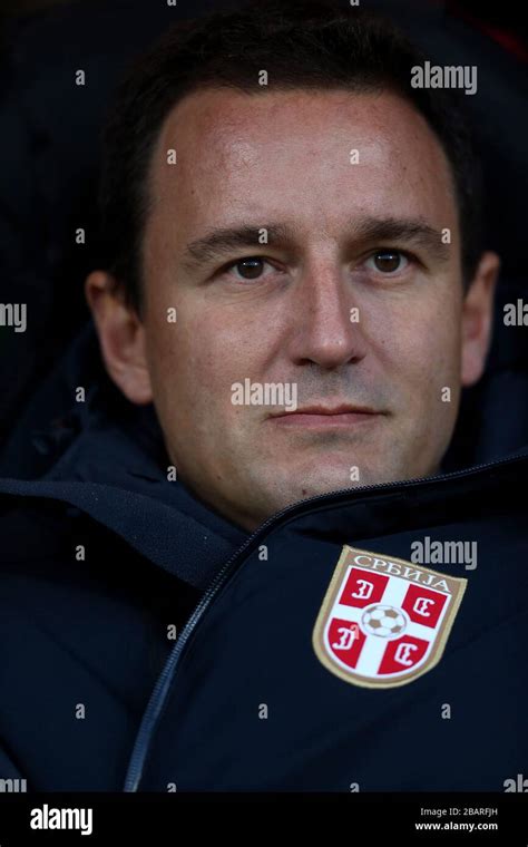 Serbia's manager Aleksandar Jankovic on the touchline Stock Photo - Alamy