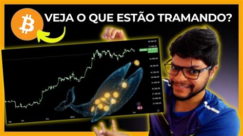 O Que As Baleias Est O Tramando Como Pre O Do Bitcoin An Lise Gr Fica