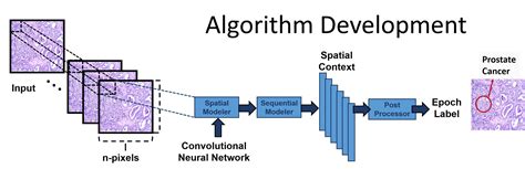 Digital Pathology Dpath Resources