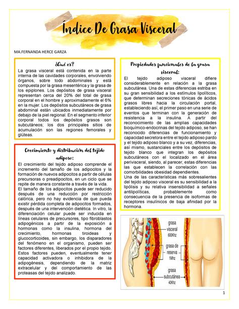 Resumen De Indice De Grasa Visceral Ma Herce Garza Qu Es La