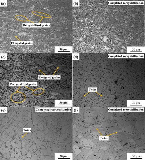 Om Images Of Post Deformed Gh Superalloy Solution Treated At