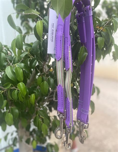 Side Reins With English Elastic Nc Equine