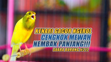 SUARA BURUNG 212 Kenari GACOR PANJANG INI Cocok Untuk Masteran KENARI