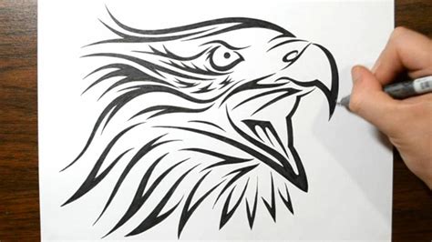 How to Draw a Tribal Eagle Tattoo Design - YouTube