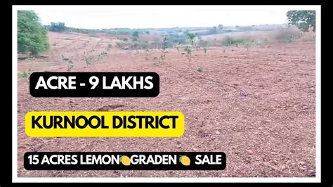 Acres Lemon Garden Sale Acre Lakhs Kurnool District Papili