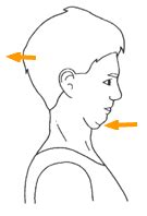 3 Neck Exercises For Quick Relief - Whole Health Boston