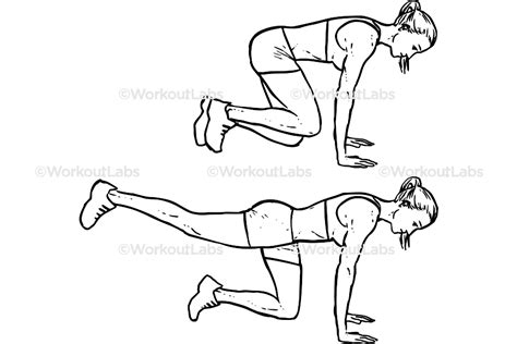 Donkey Kicks – WorkoutLabs Exercise Guide