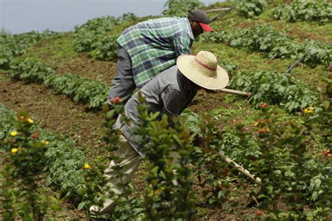 Informe De La Fao Y El Pma Advierte Sobre Lugares Cr Ticos De Hambre En