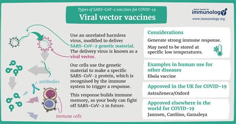 Viral vector vaccines: infographic explaining how viral vector vaccines... | Download Scientific ...