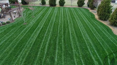 Diy How To Mow A Lawn How To Stripe The Grass Gci Turf Academy