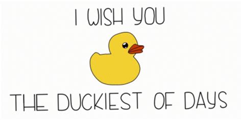 Duckiest Ducky Day GIF - Duckiest Ducky Day Laetifisch - Discover ...