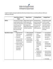 Cj Module Three Assignment Template Docx Cj Module Three