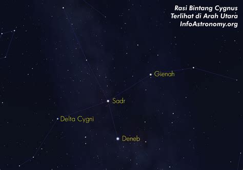 Mengenal Deneb Salah Satu Bintang Terjauh Yang Dapat Terlihat Mata
