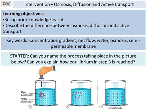 Osmosis Diffusion