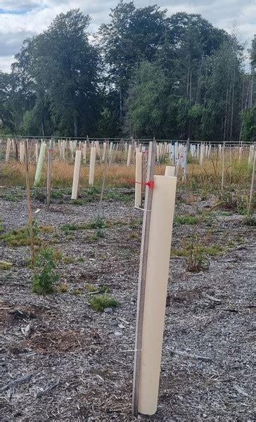 Waldputztag Freiwillige rücken Müllfrevel im Frühjahr erneut zu Leibe