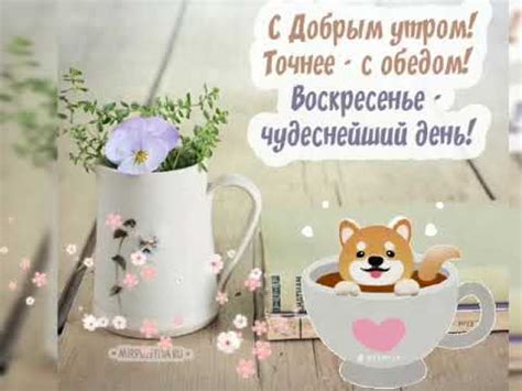 Доброе воскресное утро - YouTube