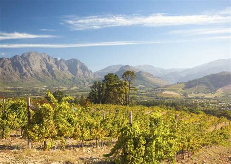 Visit The Winelands South Africa Tailor Made Vacations Audley