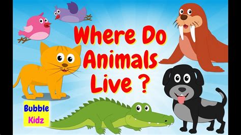 Learning Animals Names And Homes For Kids Learning Animals For