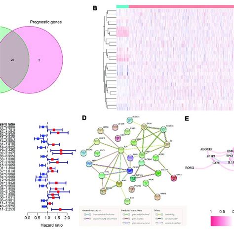 The Identification Of The Candidate Ferroptosis Related Genes In The Download Scientific