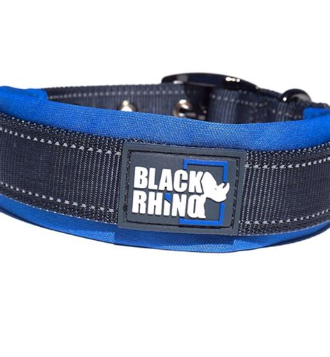 The 11 Best Dog Collars You Can Order Today Purewow