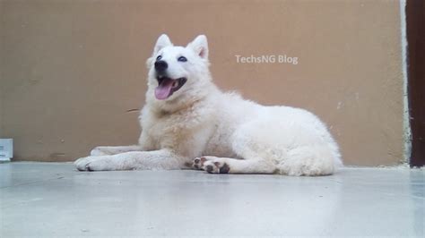 Revisi N Completa De Infinix Hot X Asequibilidad En Su M Xima Expresi N Tecnolog A