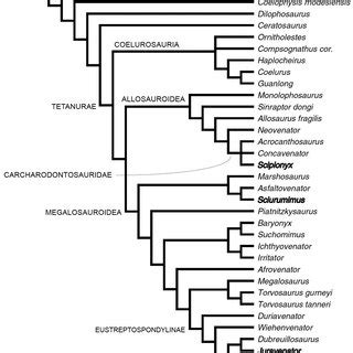 First Analysis Of The Phylogenetic Relationships Among Tetanuran