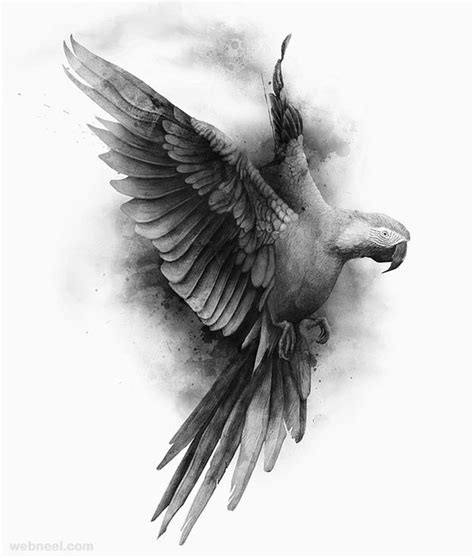 Beautiful Drawings Of Birds