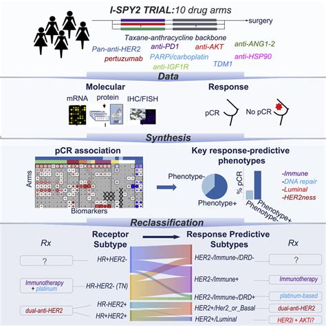 Redefining Breast Cancer Subtypes To Guide Treatment Prioritization And Maximize Response