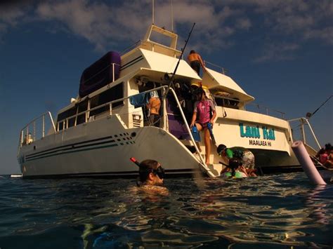 Maui Snorkeling Kihei Lo Que Se Debe Saber Antes De Viajar