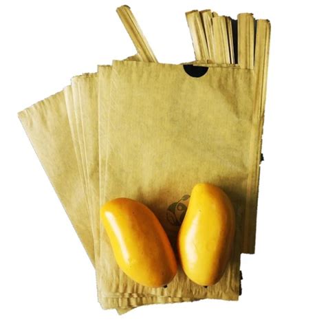 Mango Wrapping Paper Bag Fruit Growing Protection Paper Bag Mango