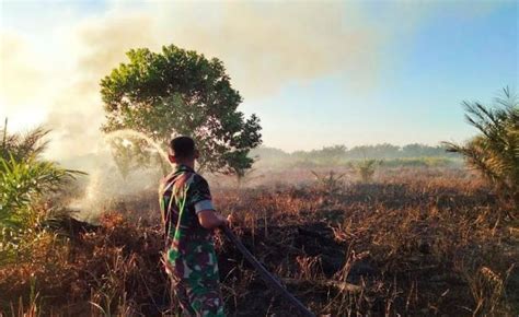 Lima Hektare Lahan Gambut Di Rokan Hulu Riau Terbakar Okezone News