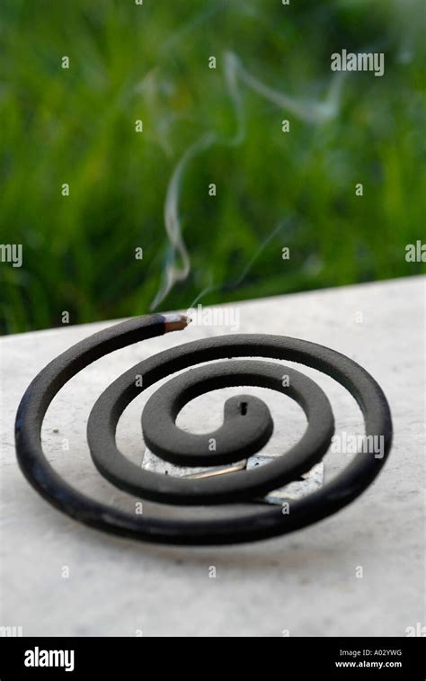 Insect Coil Hi Res Stock Photography And Images Alamy