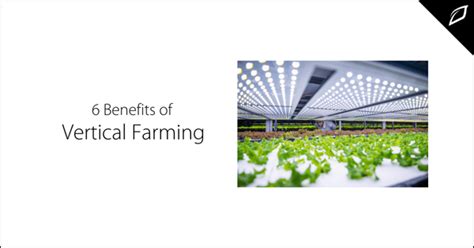 6 Benefits Of Vertical Farming