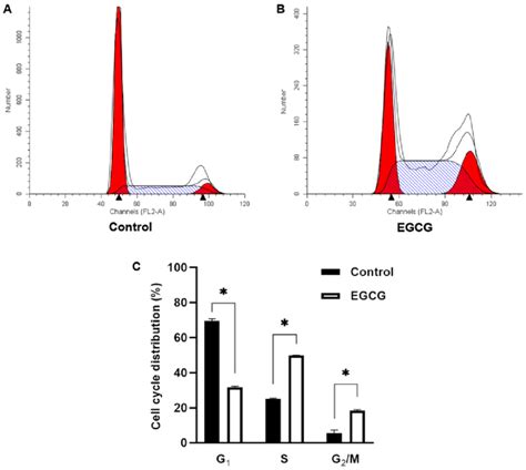 Effect Of Egcg Treatment On Cell Cycle In Hepg2 Cells Cells From A