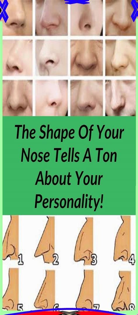 The Shape Of Your Nose Tells A Ton About Your Personality In