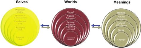 kinds   worlds  meanings  zlatev