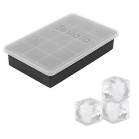 Tovolo® Perfect Cube Ice Tray With Lid In Charcoal No Size Ralphs