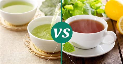 Tea vs Green Tea: Make Healthy Choices