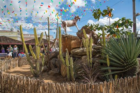 Festa do Bode Rei 2024 em Cabaceiras tem início nesta quinta feira