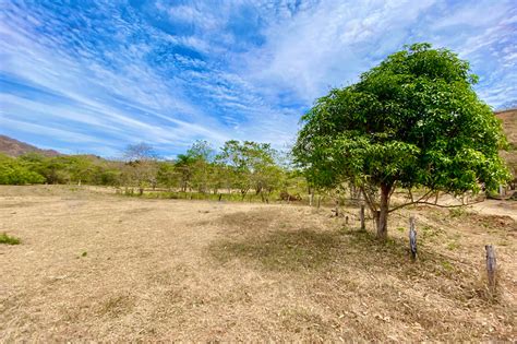 Vistas De Flamingo Lot 25 Large Forested Plot Of Land Minutes From