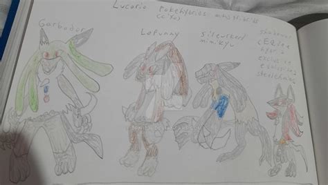 Lucario Hybrids Tribrid And Hybrid Evolution By Drn1234 On Deviantart