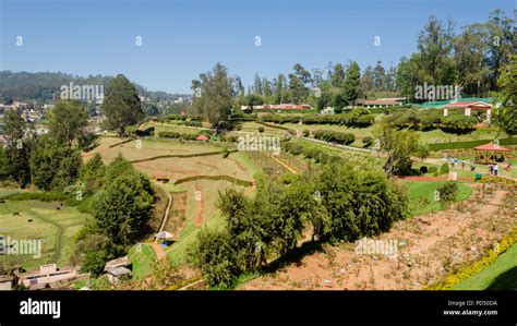 Beautiful View From Government Rose Garden In Ooty Tamil Nadu India