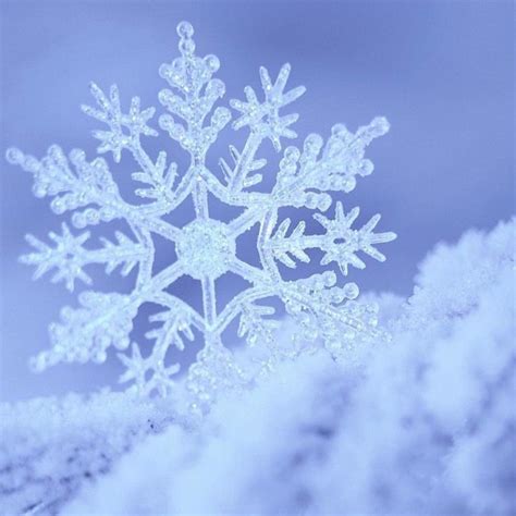 Tommy Pham – Snowflake Lyrics | Genius Lyrics