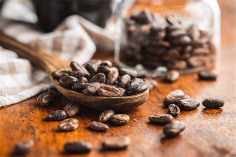 Cacao Tostado En Grano Y Cacao En Polvo Imagen De Archivo Imagen De