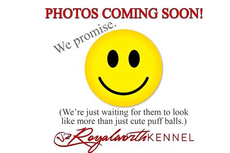 Coming Soon Royalworth Kennel