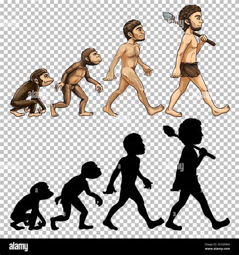 Timeline Evolution Of Man Stock Vector Images Alamy