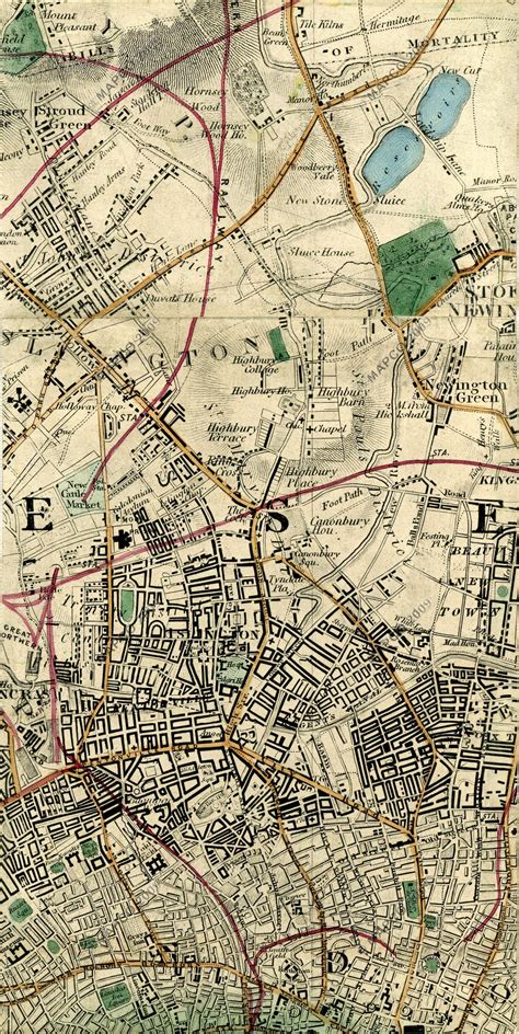 Wylds New Topographical Map Of The Vicinity Of London C1872 Map