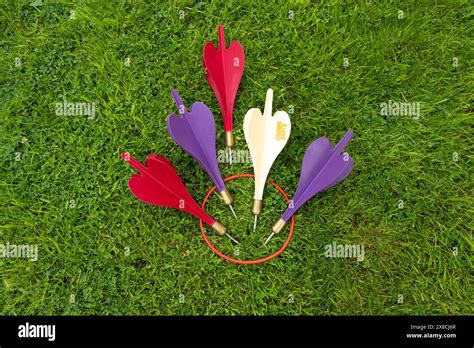 Crown Darts A Banned Lawn Darts Set With Metal Tips Stock Photo Alamy